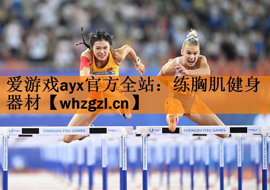 <strong>爱游戏ayx官方全站：练胸肌健身器材</strong>