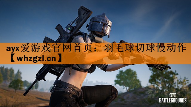 <strong>ayx爱游戏官网首页：羽毛球切球慢动作</strong>