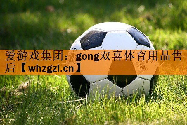 爱游戏集团：gong双喜体育用品售后