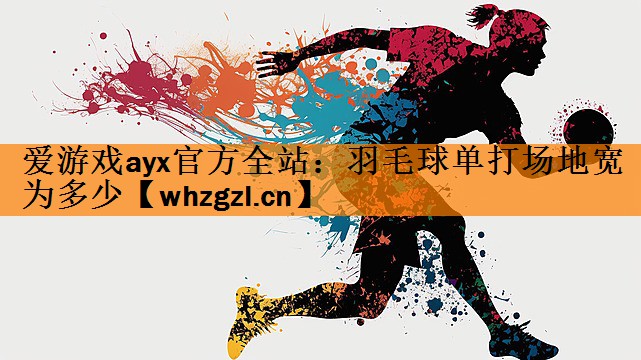 爱游戏ayx官方全站：羽毛球单打场地宽为多少